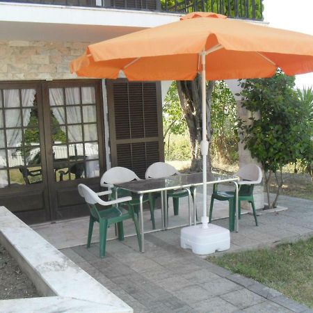 Apartamentos Na Casa Sao Bernardo Alcobaca Ngoại thất bức ảnh