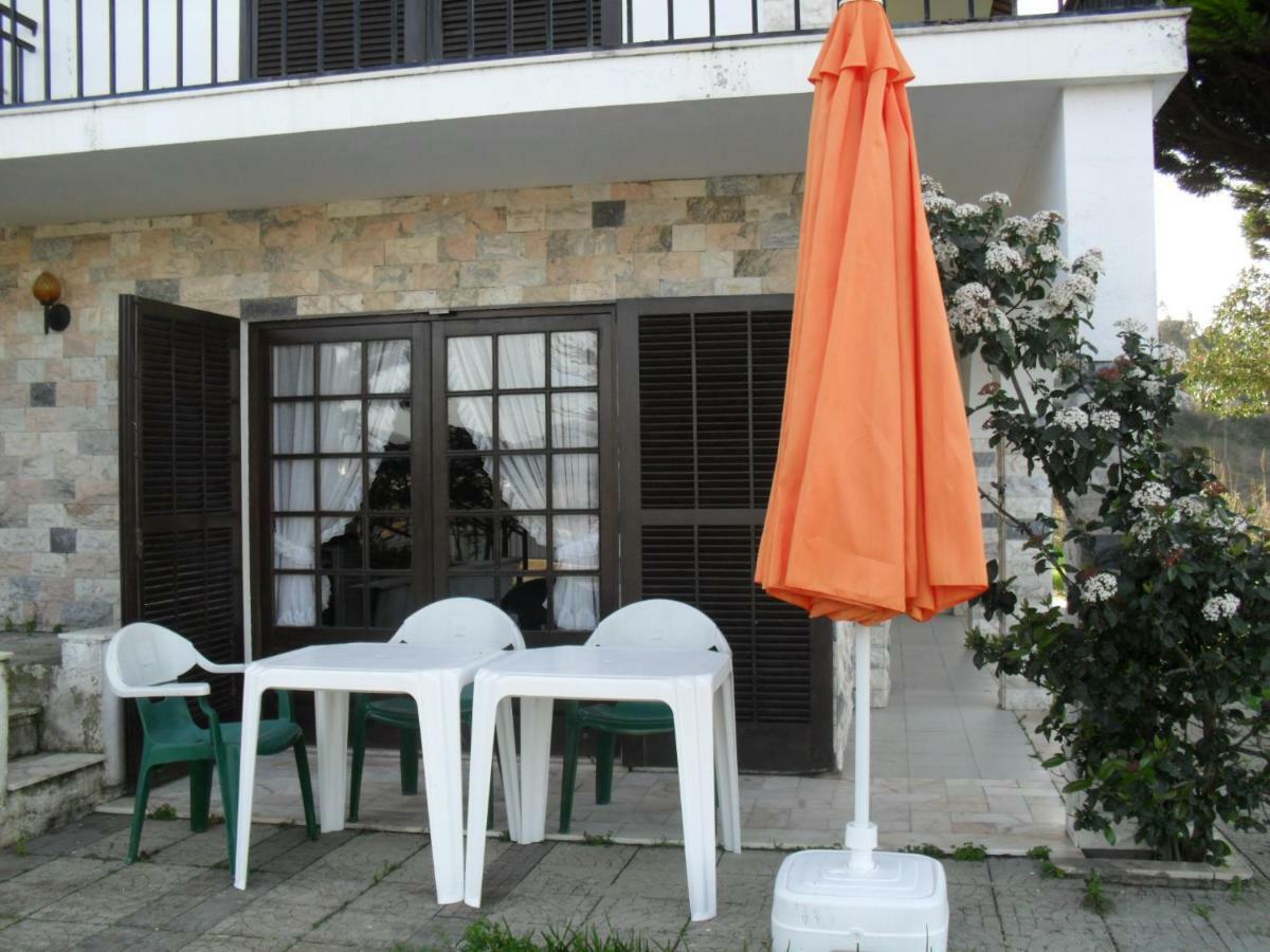 Apartamentos Na Casa Sao Bernardo Alcobaca Ngoại thất bức ảnh
